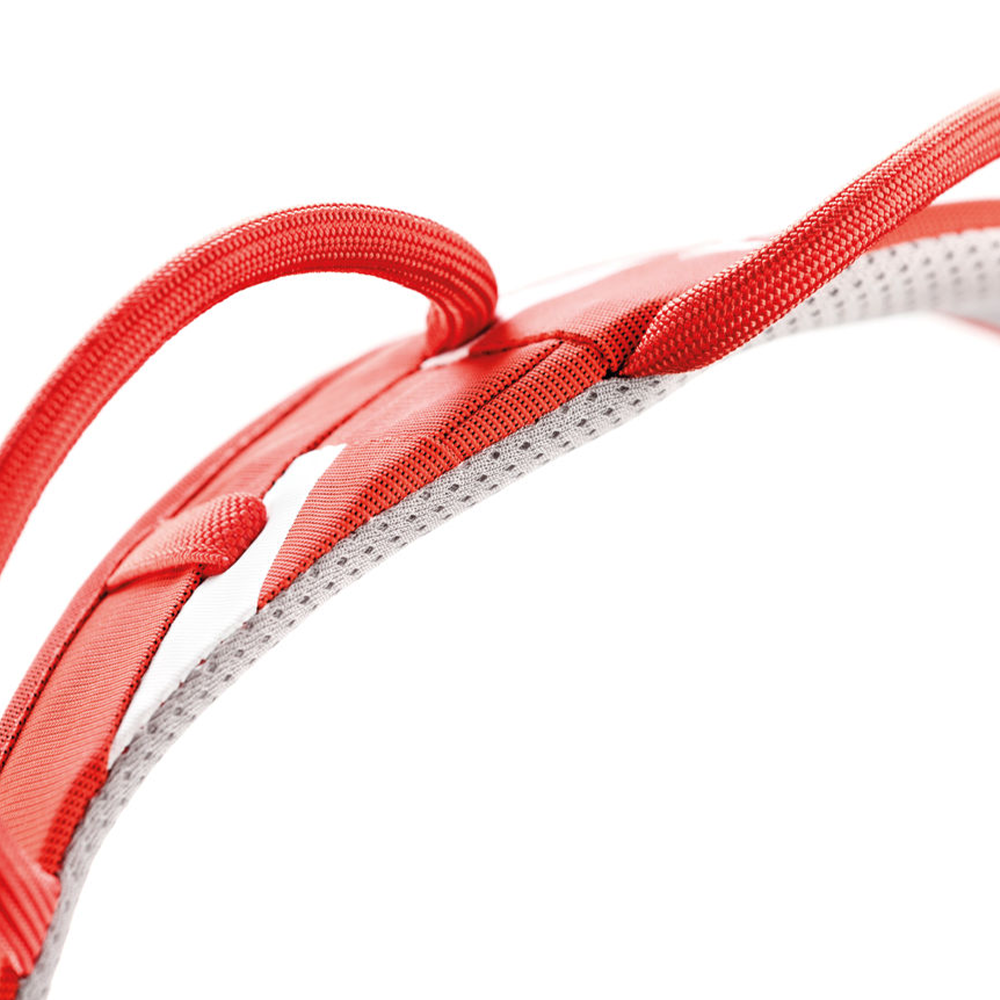 petzl hirundos harness