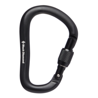 Black Diamond ROCKLOCK Screwgate Carabiner