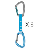 Petzl DJINN AXESS Quickdraw 6 Pack